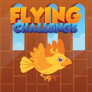 Flying Challenge Online Arcade Game