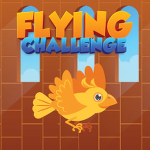 Flying Challenge Online Arcade Game