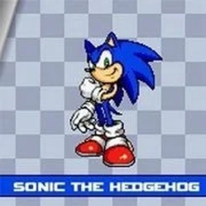 Ultimate Sonic Action Game