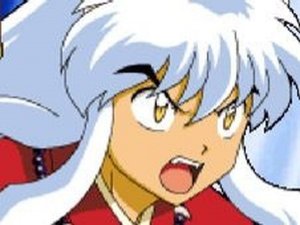 Inuyasha Shikon Jewel Tournament