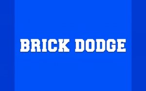 Brick Dodge: Online Arcade Survival Game