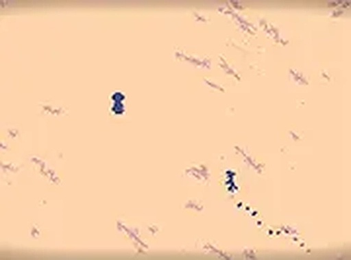 Wandering Nomad Desert Search